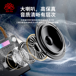 Çift mikrofon Karaoke <span class=keywords><strong>Bluetooth</strong></span> hoparlör Boombox destek çoklu giriş modları Rgb ışık iki 10w hoparlörler ses Subwoofer - Product Image 5