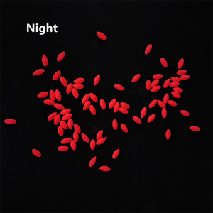 Flotadores de <span class=keywords><strong>Pesca</strong></span> Ovalados Rojos que Brillan en la Oscuridad con Olor a Huevo Pecante, Accesorios de <span class=keywords><strong>Pesca</strong></span> <span class=keywords><strong>Nocturna</strong></span> en el Mar - Product Image 4
