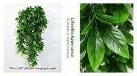 Plante Artificielle Suspendue, Feuillage Réaliste, Vigne Décorative Vertes Toutes Saisons, Multi-Styles, Polyvalente pour Murs Intérieurs et Extérieurs