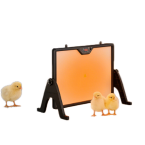 Lámpara de calor de doble cara para aves de corral, placa calefactora para pollitos, equipo calentador para crías de aves, calentador para animales - Product Image 6