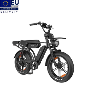 Vélo électrique tout-terrain 20 pouces, stock UE, livraison rapide, 48V 35Ah 250W, moteur arrière puissant, avec siège arrière et panier avant - Product Image 1