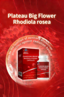 Capsules de Gélules Molles d'Extrait de Rhodiola Rosea – Améliore l'Immunité – Complément Alimentaire pour Adultes – 1,0 g/granule – Changxing Nutritionall – Marque Blanche