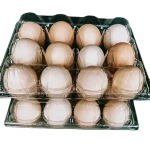 New Product Egg Paper Tray Plant Supplier