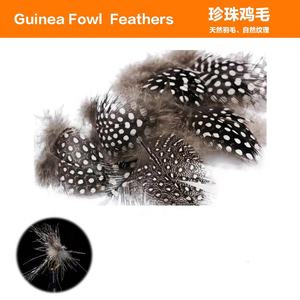 Plumas <span class=keywords><strong>de</strong></span> Gallina <span class=keywords><strong>de</strong></span> <span class=keywords><strong>Guinea</strong></span> Naturales al por Mayor para Atar Moscas, Manualidades, Joyería, Decoraciones <span class=keywords><strong>de</strong></span> Moda - Product Image 3