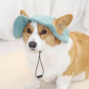 Logo personnalisé crème solaire seau velours côtelé <span class=keywords><strong>chien</strong></span> pêcheur casquette moderne en plein air été chapeaux pour petits chiens en gros vêtements pour animaux de compagnie Topi - Product Image 1