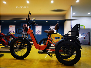 Aimos changzhou Xe đạp điện nhà máy 48V 750W phía sau động cơ 20Ah Lithium ẩn Pin điện ba bánh chất béo lốp gấp etrike - Product Image 5