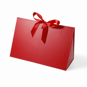 Bolsa de Regalo Triangular Mediana de Lujo Reciclable con Cinta y Logotipo Personalizado, Bolsa de Regalo de Cartón Negro al por Mayor - Product Image 4