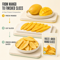 Tranches de mangue lyophilisées 18g Sachet Snack croustillant non frit Pour la vente au détail, OEM, ODM, Marque privée, Grossiste