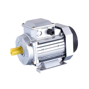 Hochwertiger Gusseisen motor 50/60Hz Motor Geräuscharm 0,75 KW Dreiphasen-Elektromotor MS802-4 für Maschine