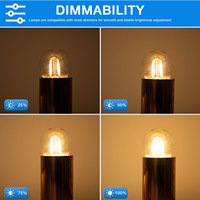 Lampe LED G40 longue durée 1W Source de lumière SMD avec verre en plastique transparent 220V CC pour la maison salon chambre