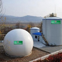 Digesteur anaérobie automatique domestique, unité facile à utiliser pour transformer le fumier animal en biogaz