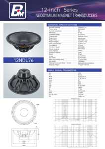 Speaker Neodymium 12 inci dengan laba-laba tunggal, impedansi 8ohm untuk Speaker <span class=keywords><strong>Array</strong></span> garis dalam/luar ruangan - Product Image 5