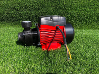 Pompe à mouche vente chaude Dc Submersible 24v 250w puits profond Dc système de pompe solaire prix pompes à eau solaires surface pour l'irrigation
