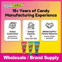 Bonbons liquides à presser saveurs fruitées assorties, acidulés et sucrés, nouveauté, bonbons gélifiés à tremper, en vrac, OEM pour distributeur YOLODUCK