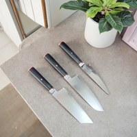 Couteau de chef japonais Hitachi Damas en acier AUS-10 de meilleure qualité avec couteaux de cuisine à manche en bois G10