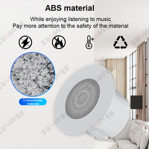 SUMWEE OEM 102 4ohm 10W Mini Passive Surround Sound <strong>System</strong> <strong>Ceiling</strong> SpeakerRoof Home Hotel Background Music Loudspeaker - Product Image 4