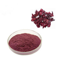 Extrait de fleur d'hibiscus en poudre, vente mondiale