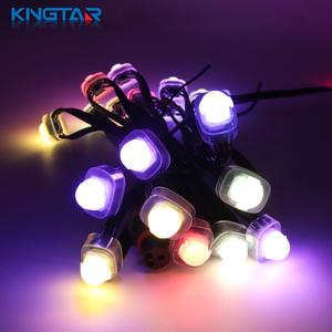 DC5V 12mm <span class=keywords><strong>RGB</strong></span> <span class=keywords><strong>LED</strong></span> Pixels Light IP67 FW1903 Luces de Navidad de plástico para uso en paisajes y parques temáticos - Product Image 5