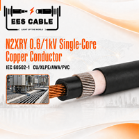 Câble d'alimentation monophasé 0,6/1 kV à conducteur en cuivre, isolation XLPE, armure en fil d'aluminium, gaine en PVC, conforme à la norme IEC 60502-1