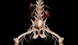 Equipo <span class=keywords><strong>Veterinario</strong></span> EURVET, Escáner CT Espiral de 32 Capas y <span class=keywords><strong>24</strong></span> Filas, Sistema de Diagnóstico por Imágenes <span class=keywords><strong>Veterinario</strong></span> para Hospitales de Mascotas - Product Image 6