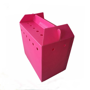 Tùy chỉnh bền hộp nhựa sóng hộp PP cho gà chọi - Product Image 1