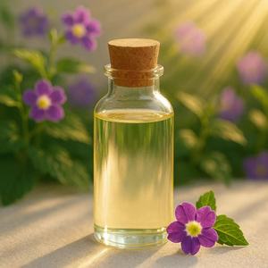 Extracto botánico Asystasia Gangetica para aplicaciones hidratantes y reparadoras de la piel - Product Image 4