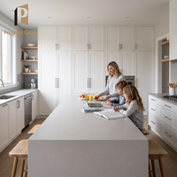 Cuisine moderne blanche minimaliste : îlot central et armoires de cuisine pour projets de construction de maisons complètes