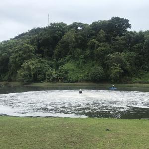 Aérateur de surface flottant SAR particulièrement adapté aux réservoirs tampons, aux boues activées, aux SBR, aux MBR et aux lagunes aérées. - Product Image 2