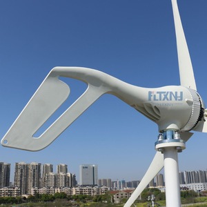 Générateur éolien horizontal 600W pour usage domestique, à faible vitesse de vent, 12V 24V avec contrôleur, fabriqué en Chine - Product Image 6