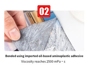 لفة شفافة من الكريستال للحيوانات الأليفة مع لفة طبقة واقية لصور الزفاف والصور الزخرفية - Product Image 2