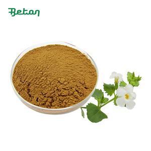 Fabriekslevering Natuurlijke <span class=keywords><strong>Bacopa</strong></span> Monnieri <span class=keywords><strong>Extract</strong></span> Poeder 10:1 20:1 Valse Posteleinextract Poeder - Product Image 2
