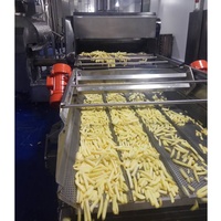 Kosten für Entölungsmaschine für Kochbananenchips, Kartoffelchips, Bananenchips, Pommes Frites – Ölentferner, Öl-Vibrator