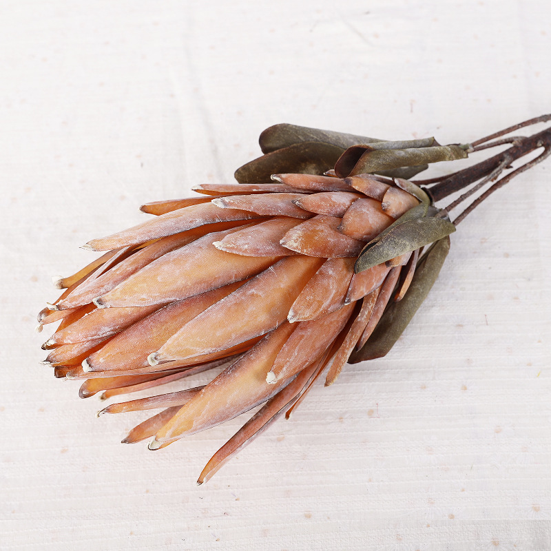 King Protea [Yellow]