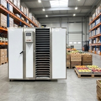 Fruit- en groentedroger, uien droogmachine, kleine droogmachine voor chips en fruit