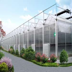 Agrotime pellicola di Plastica a Effetto Serra E di Vendita Utilizzato In Policarbonato Serra - Product Image 3