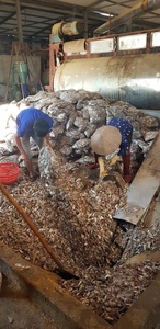 Polvo de harina de hueso de pescado de alta proteína 60% para cerdo y perro, alimento para animales, embalaje a granel, harina de pescado, hueso de pescado seco - Product Image 4