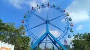 Das Beliebteste Neue Design Fahrgeschäft Fischgräten-Riesenrad 42m Günstiger Preis Kleines Riesenrad zum Verkauf - Product Image 6