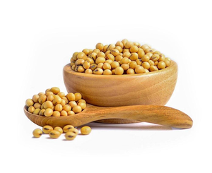Soja Tanzana Premium Sin OMG, Alta en Proteínas, de Origen Agrícola Natural - Product Image 4