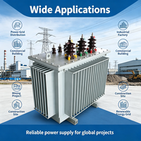 Transformateur de puissance immergé dans l'huile triphasé ANSI 250KVA/167KVA, fourni par le fabricant (80KVA, 100KVA, 150KVA, 200KVA, 250KVA, 315KVA, 400KVA)