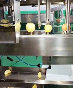 Coupe-pommes, trancheuse, éplucheuse, dénoyauteuse, machine à éplucher et à trancher les mangues, machine à retirer le noyau des poires - Product Image 4