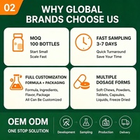Gel de Apoyo Cognitivo para Mascotas OEM ODM, para Perros y Gatos, Salud Cerebral, Apoyo a la Memoria, Multivitamínico, Suplemento Nutricional con L-Tirosina