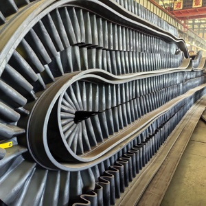 Băng tải cao su công suất 50 kg - Product Image 4