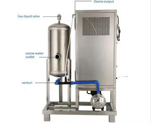 Machines <span class=keywords><strong>de</strong></span> traitement <span class=keywords><strong>de</strong></span> l'<span class=keywords><strong>eau</strong></span> à l'ozone à haute concentration pour l'abattage/générateur d'ozone - Product Image 3