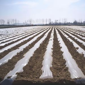 Китайский производитель сельскохозяйственных пластмассовых изделий-черный поверх серебристый завод PE Мульч пленка - Product Image 3