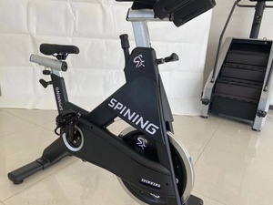 卸売 ノイズフリー自転車 室内フィットネスバイク 有酸素運動トレーニング 調整可能な快適なシート スピニングバイク - Product Image 2