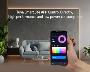 C01W C02W Controlador LED de un solo color WiFi y Bluetooth Tuya APP Control remoto inalámbrico para tira de luz Led