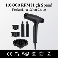 Secador de Pelo Profesional para Salón, 110000 RPM, Alta Velocidad, Ligero, Iónico, Cerámico, Eléctrico, Certificado CE, Secado Rápido, para Hotel y Hogar