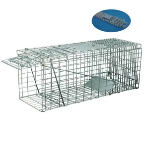 Galvanized 2-pack Animal Humane Live Cage Trap That Work Help Farmers