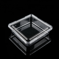 Boîte carrée transparente en PET pour brownies, couvercle jetable, conteneur à pâtisserie recyclable, qualité alimentaire, vente en gros, OEM personnalisé, chewing-gum, gelée