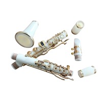 Factory Direct Wholesale Professional Woodwind ABS G-toen Clarinet Gold Plated 20-Key with Canvas Case